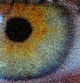 File: eye photo-mosaic all 2400 Thumbnail version