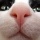 Chat 6