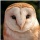 Page:Catalogue chemin de fer. Photo:Oiseau 4