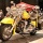 Page:Catalogue chiot et chien. Photo:Moto 10
