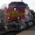 Page:Dogs and pups pictures. Photo:Train 4