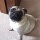 Page:Liste de vos photo-mosaïques. Photo:Chien 2