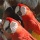 Page:Your creations. Photo:Bird 1
