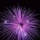 Page:id�es de montages. Photo:Anniversaire 30