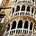 Page:image chiot-chien. Photo:Venise 12