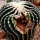 Page:photos images-chats-chatons. Photo:Cactus 11