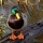 Page:photos oiseau sauvage. Photo:Oiseau 12