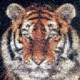 File: tiger photo-mosaic cats 2400 Thumbnail version