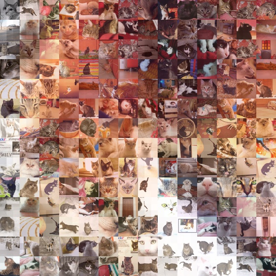 Exemple de photo mosaque de chats faite sur www.Pictosaic.com - Total number of tiles: 5400 - Sample version