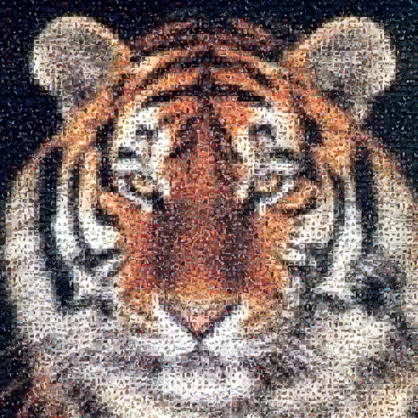 Exemple de photo mosaque de chats faite sur www.Pictosaic.com - Total number of tiles: 5400 - Small format version